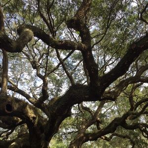 Meet your Posher, Claire